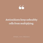 ANTIOXIDANT INFUSION | 16 oz