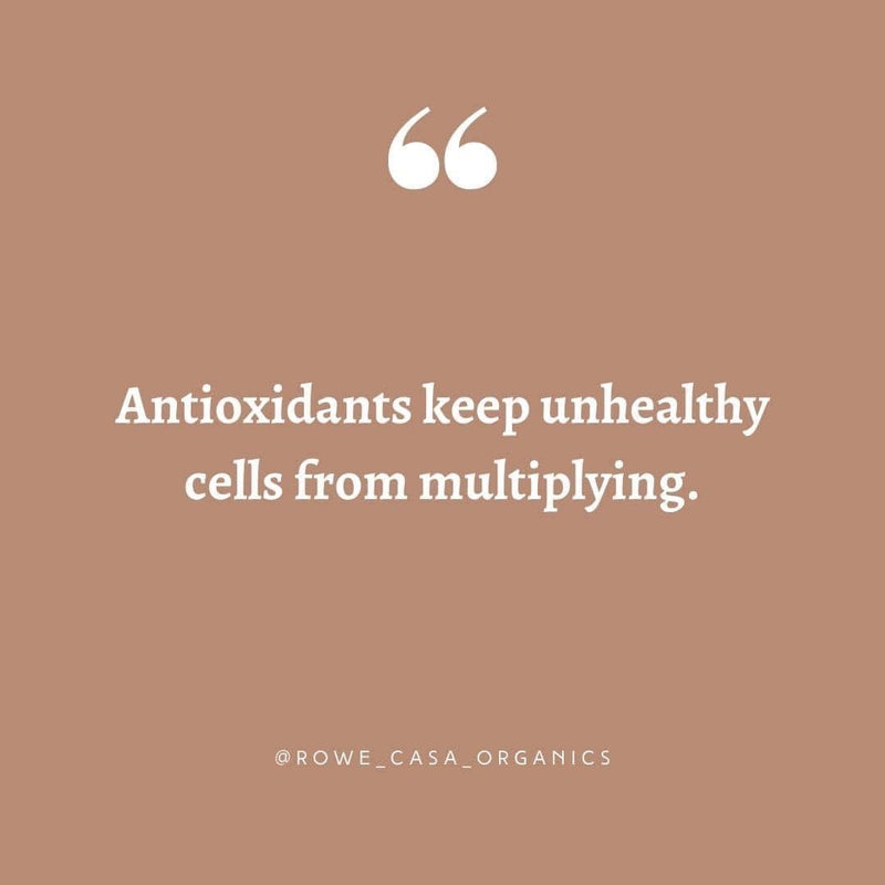 ANTIOXIDANT INFUSION | 16 oz