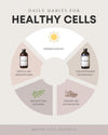 ANTIOXIDANT INFUSION | 16 oz