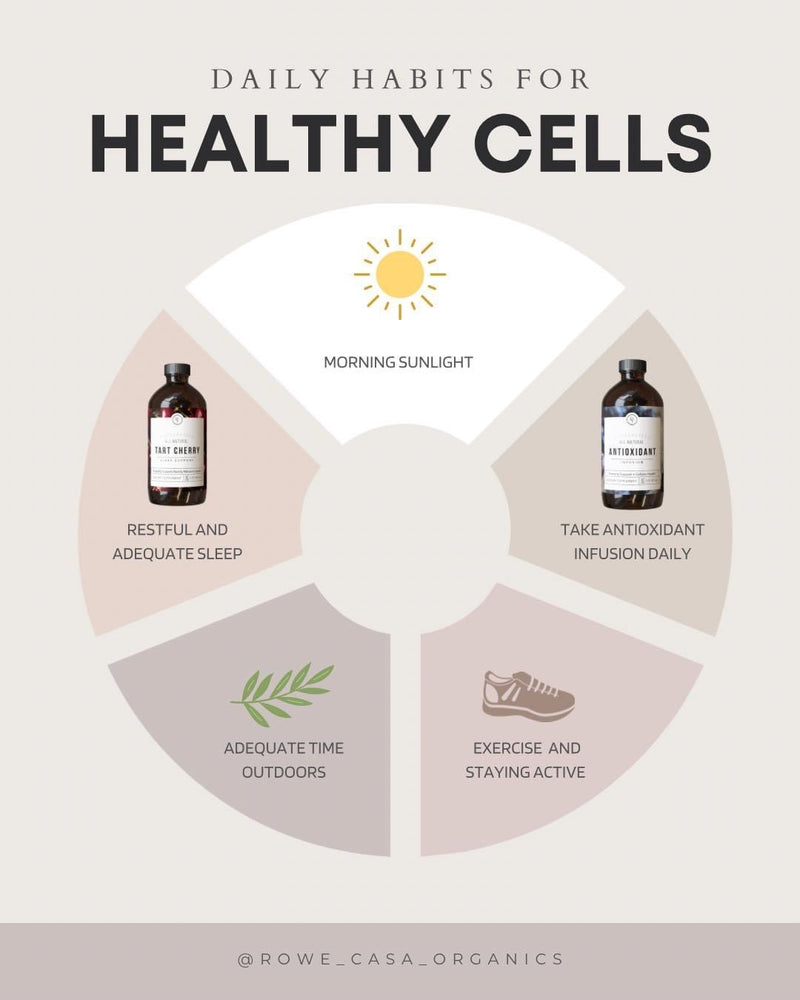 ANTIOXIDANT INFUSION | 16 oz