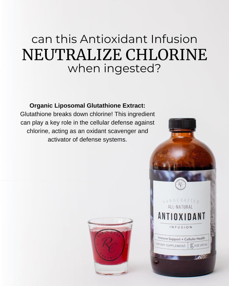 ANTIOXIDANT INFUSION | 16 oz