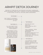 DETOX MASK | 4 oz