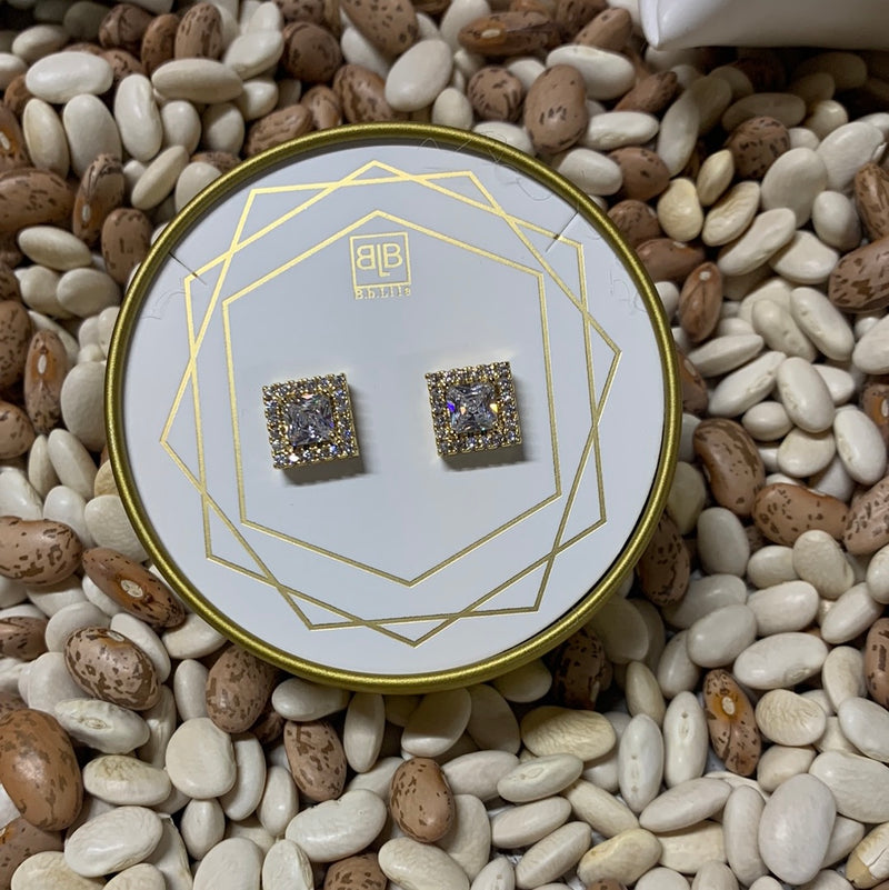 Dime + 99 Studs